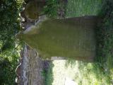 image of grave number 786928